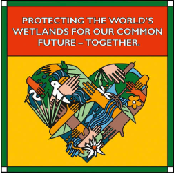 World Wetlands Day